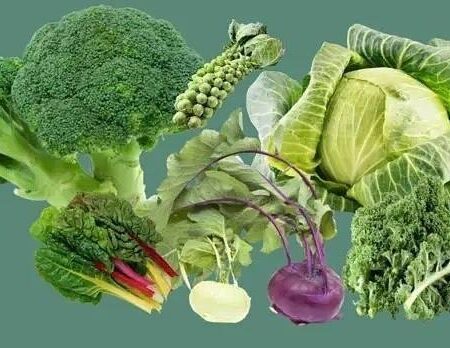 Брокколи и другие крестоцветные овощи как мощное средство профилактики рака