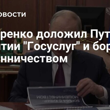Путин и Григоренко обсудили будущее Госуслуг и борьбу с мошенничеством