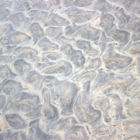 Аномальные песчаные образования выявлены на дне Северного моря