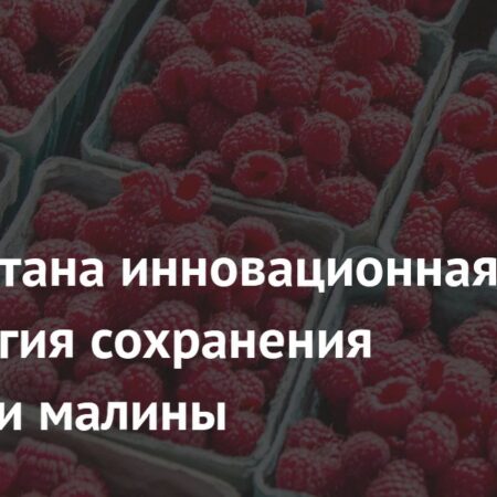 Инновационная технология сохранит малину свежей дольше