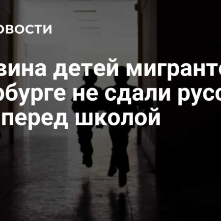 Половина детей мигрантов в Санкт-Петербурге не прошла тестирование по русскому языку перед зачислением в школу