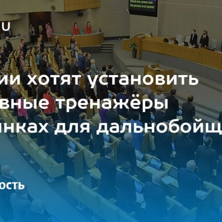 Депутат предложил спортивные тренажеры для дальнобойщиков на придорожных стоянках