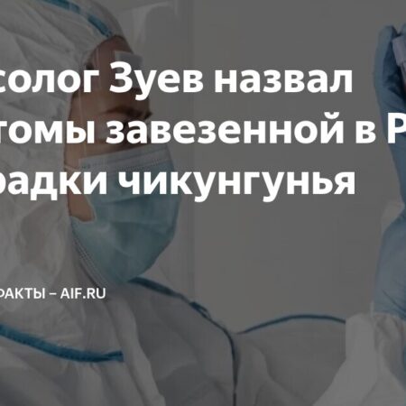 Вирусолог Зуев назвал ключевые методы защиты от лихорадки чикунгунья