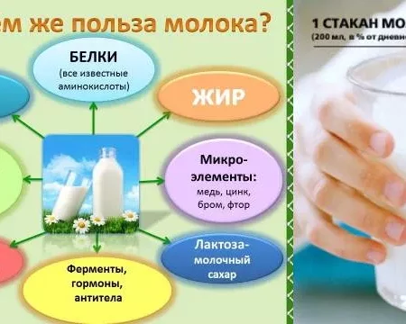 Научно доказанная польза молочных продуктов для здоровья кишечника