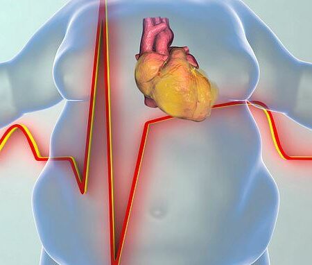 Раскрыт неожиданный фактор старения сердца: расположение жира
