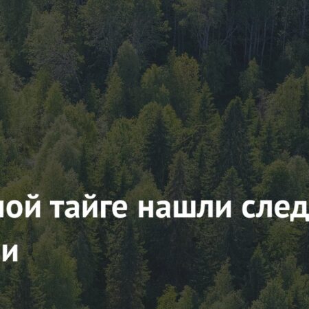 Радиационный След Обнаружен в Северной Тайге