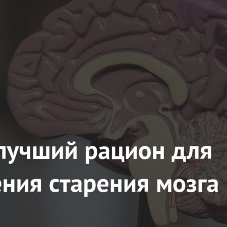 «Зеленая средиземноморская диета» – ключ к замедлению старения мозга