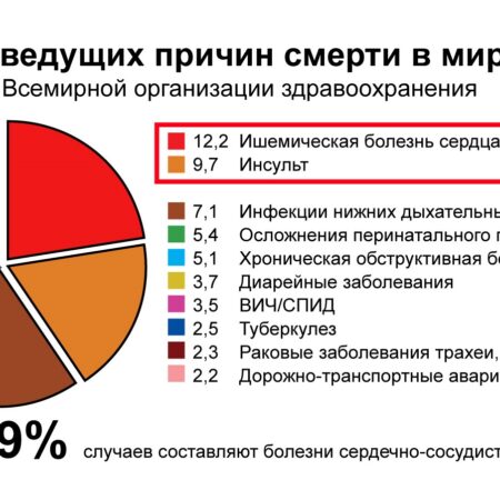 Ключевые факторы смертности в России по данным ВОЗ