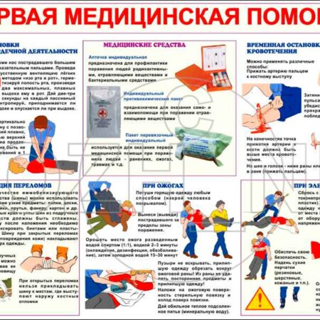 Интерес россиян к получению навыков первой помощи значительно вырос
