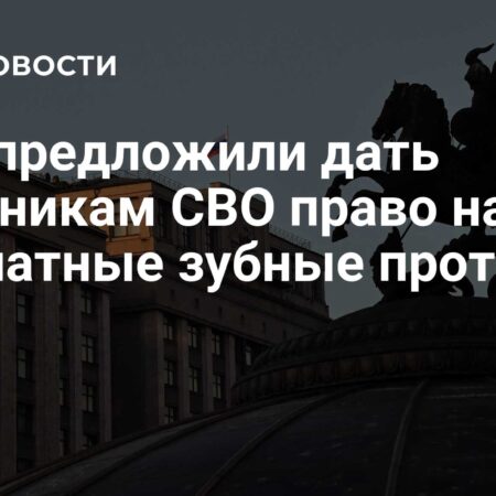 ЛДПР инициирует бесплатное зубопротезирование для участников СВО