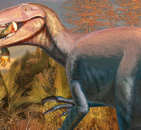 Открытие нового динозавра: Joaquinraptor casali найден с костью крокодила