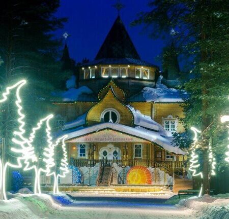 В вотчине Деда Мороза в Великом Устюге родились два козленка камори