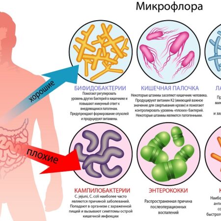 Влияние микропластика на микрофлору кишечника: Новые данные