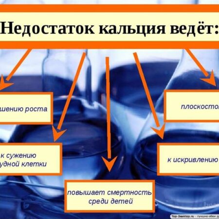Скрытая угроза здоровью: Как недостаток кальция влияет на выносливость организма