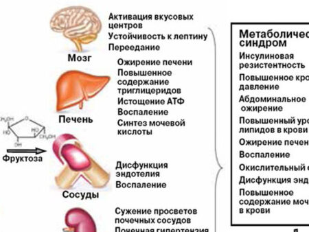 Неожиданная причина ожирения, диабета и жирового гепатоза: роль мутаций в клетках крови