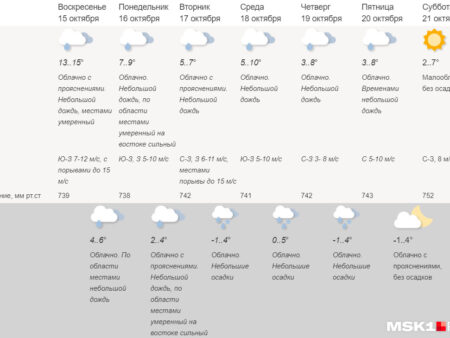 Прогноз погоды для Москвы: облачно, дожди и до +6°C в среду