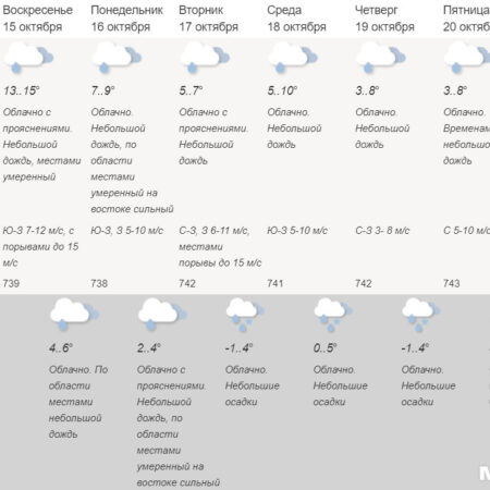Прогноз погоды для Москвы: облачно, дожди и до +6°C в среду