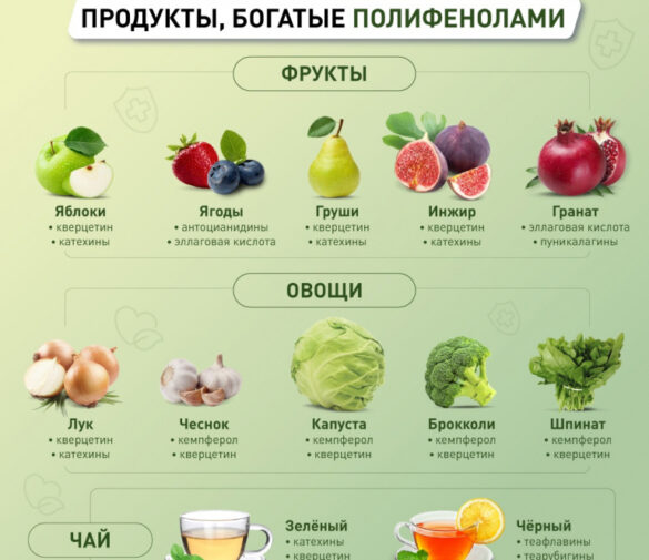 Неожиданная польза полифенолов: Как растительные соединения защищают зрение