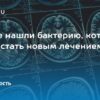 Открытие в микрофлоре лягушки: новый штамм бактерий, уничтожающий опухоли
