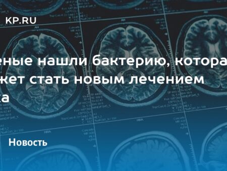 Открытие в микрофлоре лягушки: новый штамм бактерий, уничтожающий опухоли