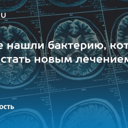 Открытие в микрофлоре лягушки: новый штамм бактерий, уничтожающий опухоли
