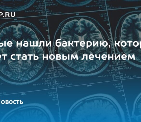 Открытие в микрофлоре лягушки: новый штамм бактерий, уничтожающий опухоли