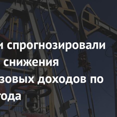 Нефтяные доходы России могут достичь минимума к 2042 году: пессимистичный прогноз правительства