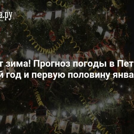 По-настоящему зимний Новый год: синоптик рассказал о погоде в Петербурге к началу каникул
