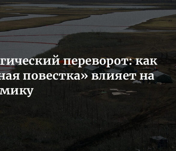 Перезагрузка «зеленой повестки»: Как российский бизнес адаптируется к новым климатическим реалиям