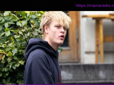 Мариус Борг Хойби подал ходатайство об освобождении из-под стражи