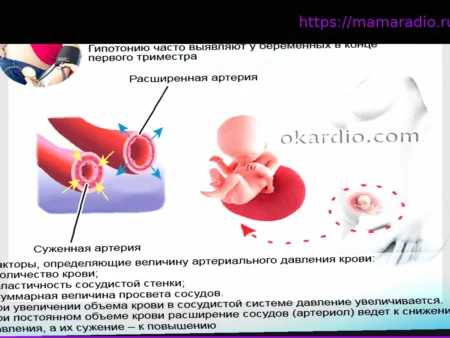 Низкое давление при беременности: что нужно знать и как действовать