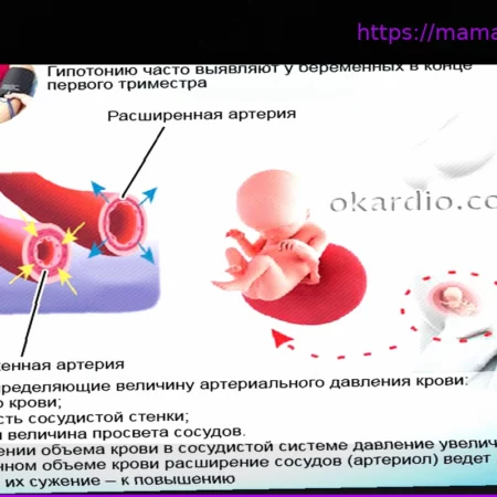 Низкое давление при беременности: что нужно знать и как действовать