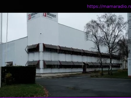 Ликвидация Brandt: промышленные предложения о поглощении не были приняты, активы группы будут проданы дистрибьютору Cafom