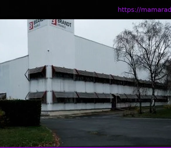 Ликвидация Brandt: промышленные предложения о поглощении не были приняты, активы группы будут проданы дистрибьютору Cafom