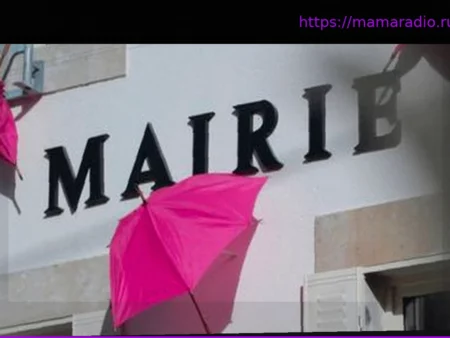 Муниципальные выборы 2026: Платформа для просмотра отчетов о расходах мэров