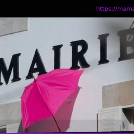 Муниципальные выборы 2026: Платформа для просмотра отчетов о расходах мэров