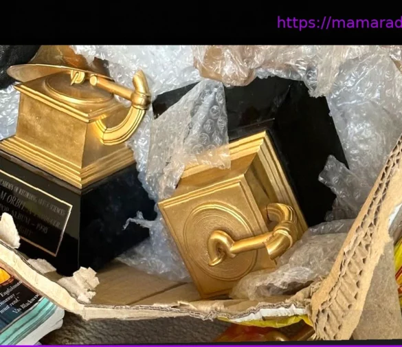 Уильям Орбит: обладатель Грэмми получает теперь лишь кучу латуни и пластика