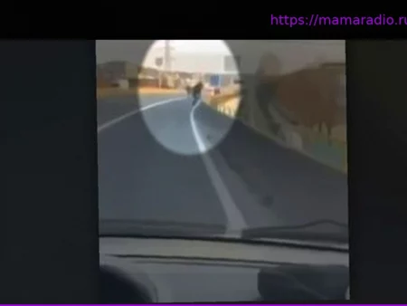 В Лионе найдено обугленное тело лидера банды