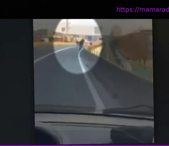 В Лионе найдено обугленное тело лидера банды