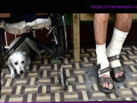 Чили победила лепру: вторая страна в мире свободна от болезни