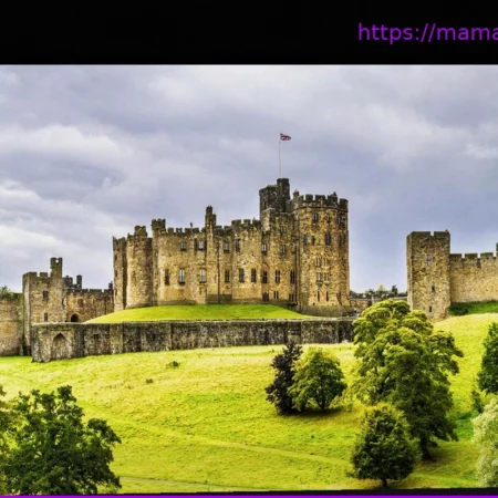 Леди Джейн Перси: Волшебная история герцогини, возродившей замок Алнвик