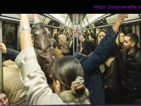 «Лучше выявлять рисковые ситуации»: Государство и участники транспортного сектора объединяются для борьбы с гендерным и сексуальным насилием