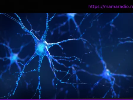 Как клетки мозга находят свое место?