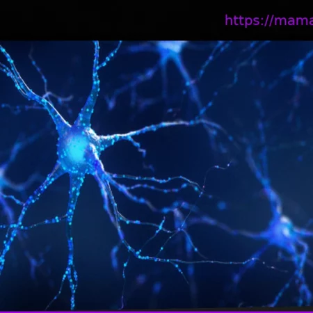 Как клетки мозга находят свое место?