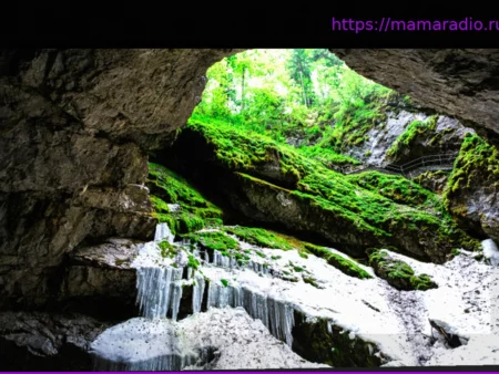 Бактерия с устойчивостью к антибиотикам во льдах: Угроза или Возможность?