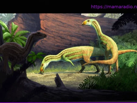 Ловкие пращуры: Предки крокодилов ходили на двух ногах