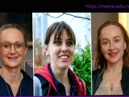 Телевизионная комедия «Мы тебя не так воспитывали»: Какой культовый фильм послужил основой