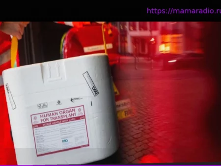 Органы для спасения жизни: Число доноров растет, но остается недостаточным