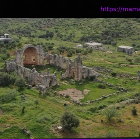 Россия создает цифровой архив культурных памятников Африки и исламского мира