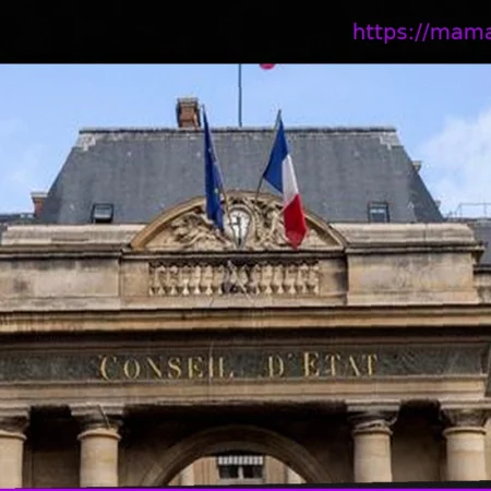 Высокоскоростная линия Тулуза-Бордо: Госсовет отклонил апелляцию противников проекта